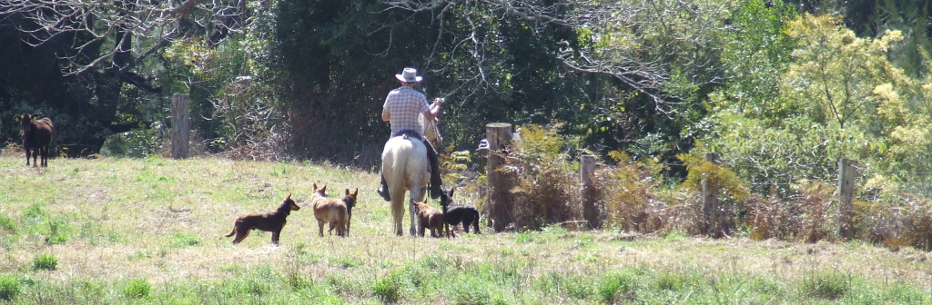 GEORGE MUSTERING