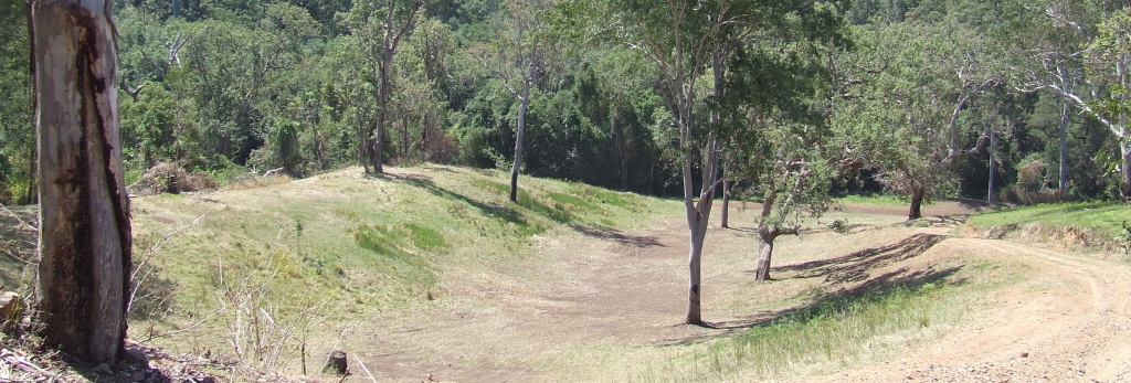 Clearing at Angle Creek